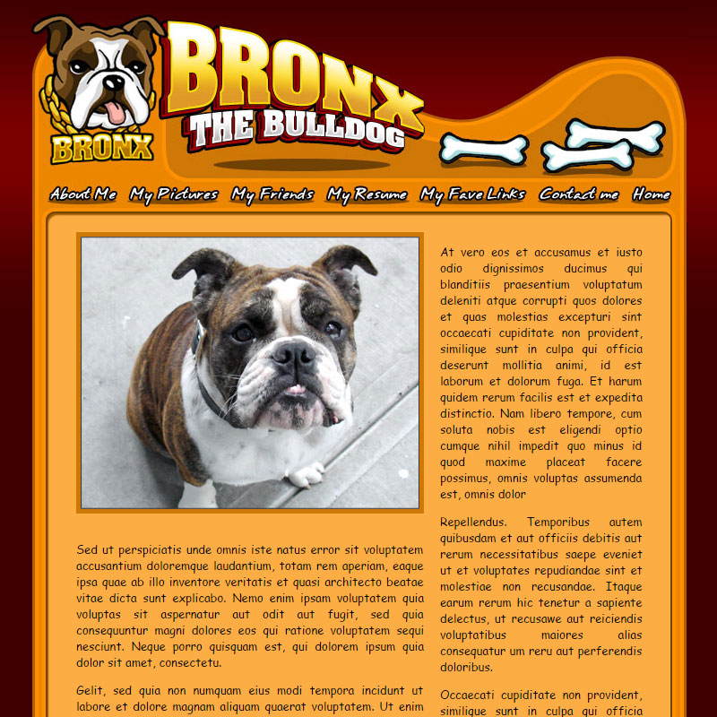 Bronx the Bulldog